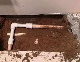 武邑测漏水哪家好